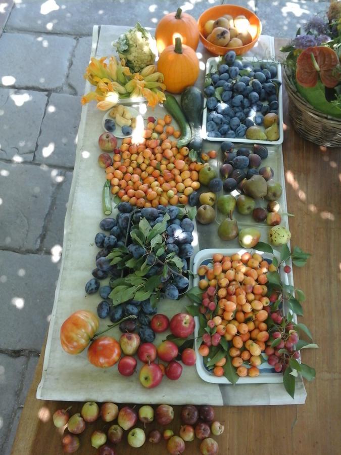 Bio&B Cascina Montebello Palazzago Eksteriør bilde
